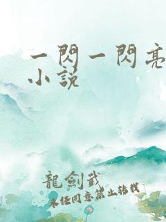 一闪一闪亮晶晶小说