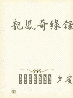 龙凤奇缘录