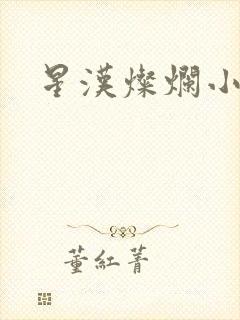 星汉灿烂小说