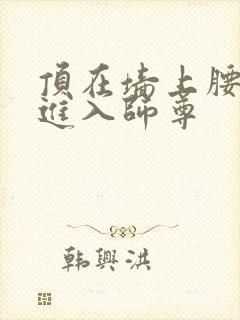 顶在墙上腰一沉进入师尊