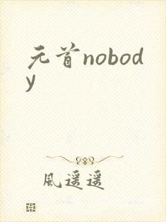 元首nobody