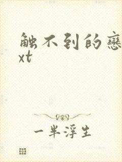 触不到的恋人txt