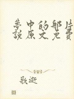 梦中的那片海小说原文免费阅读