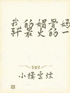 我的媚骨妈妈林轩最火的一句