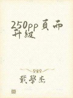 250pp页面升级