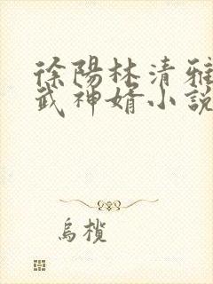 徐阳林清雅绝世武神婿小说