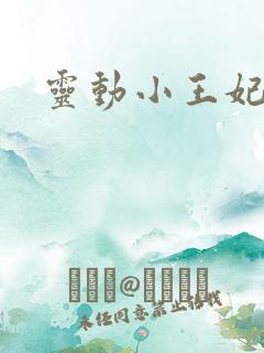 灵动小王妃
