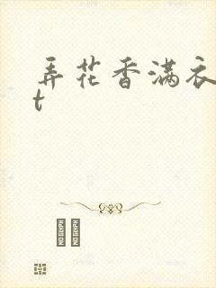 弄花香满衣txt