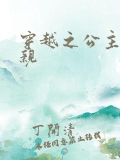 穿越之公主要娶亲