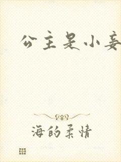 公主是小妾
