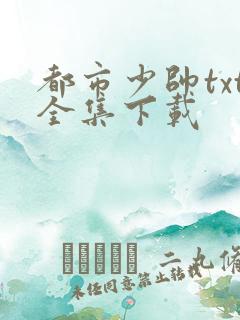 都市少帅txt全集下载