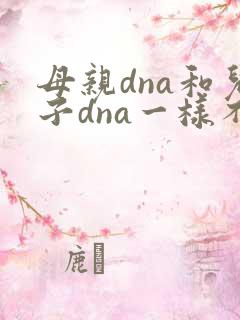 母亲dna和儿子dna一样不