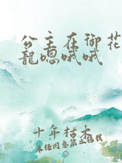 公主在御花园吃龙嗯哦哦