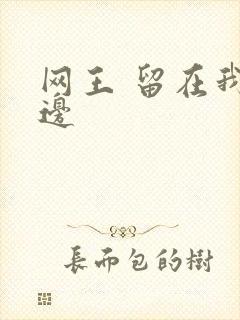 网王 留在我身边