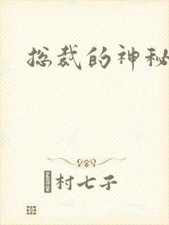 总裁的神秘情人