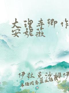 大理寺卿作者:安妮薇