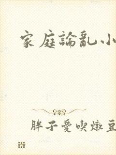 家庭论乱小说