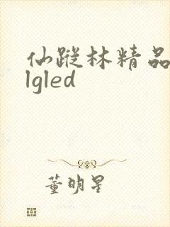 仙踪林精品zzlgled