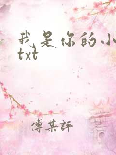 我是你的小小狗txt