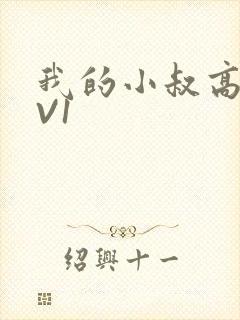 我的小叔高H1V1