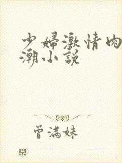 少妇激情肉欲高潮小说