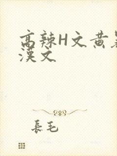 高辣H文黄暴糙汉文