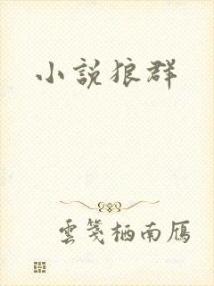 小说狼群