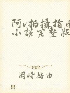 阿v拍摄指南说小说完整版