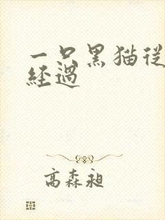 一只黑猫从眼前经过