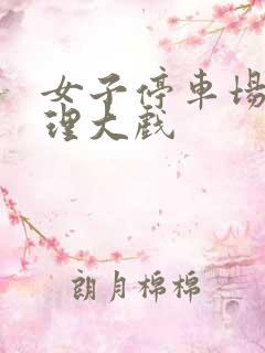 女子停车场现伦理大戏