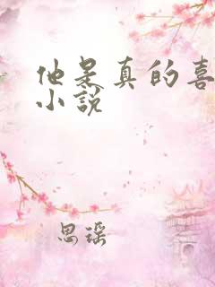 他是真的喜欢你小说