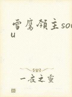 雪鹰领主sodu