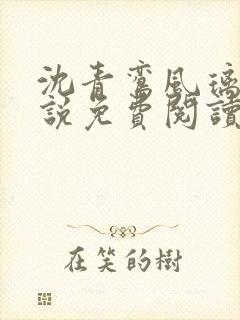 沈青鸾风璃宸小说免费阅读