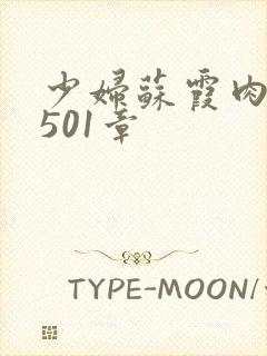 少妇苏霞肉欲第501章