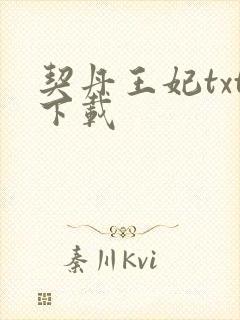 契丹王妃txt下载