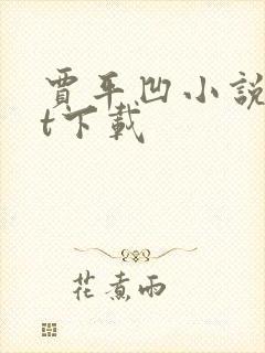 贾平凹小说txt下载