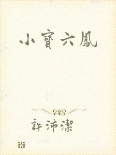 小宝六凤