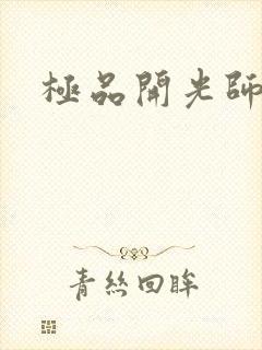 极品开光师