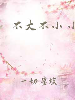 不大不小 小说