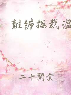 难缠总裁温柔爱