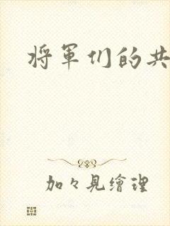 将军们的共妻H