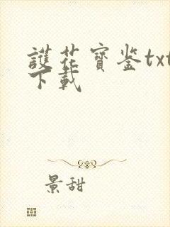 护花宝鉴txt下载