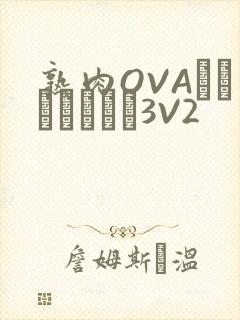 熟肉OVAちゃんはしたい3V2