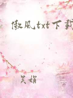 傲风txt下载