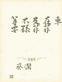 等不及在车里就要孙菲菲