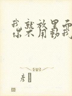 我就放里面不动你不用动我动