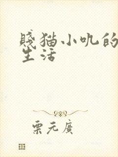 贱猫小叽的幸福生活
