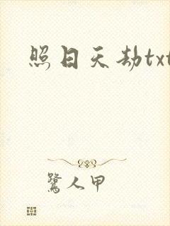 照日天劫txt
