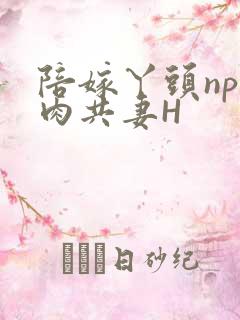 陪嫁丫头np全肉共妻H