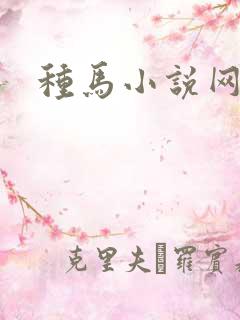 种马小说网